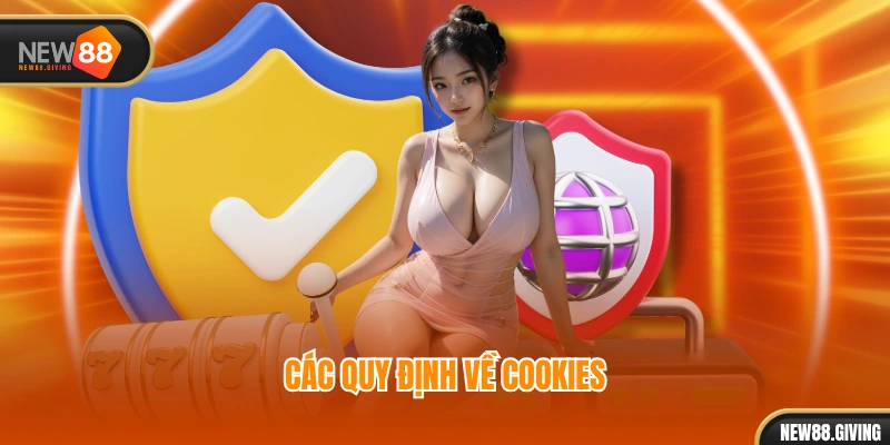 Các quy định về Cookies