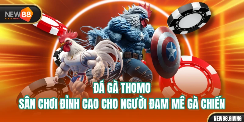 Đá Gà Thomo: Sân Chơi Đỉnh Cao Cho Người Đam Mê Gà Chiến