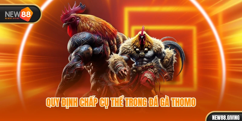 Quy định chấp cụ thể trong đá gà Thomo